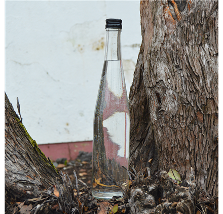 Glasflasche Jasmim 700ml