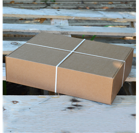 Express gourmet 400x300x100mm