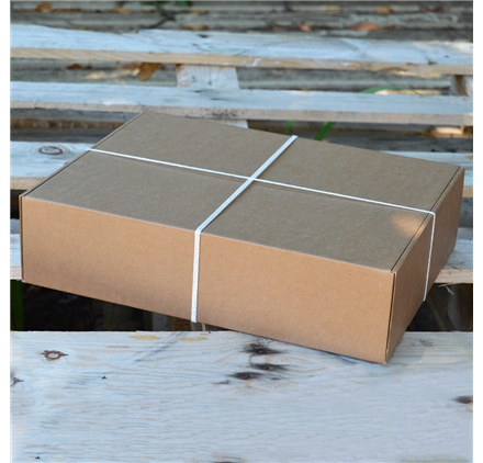 Express gourmet 400x300x100mm