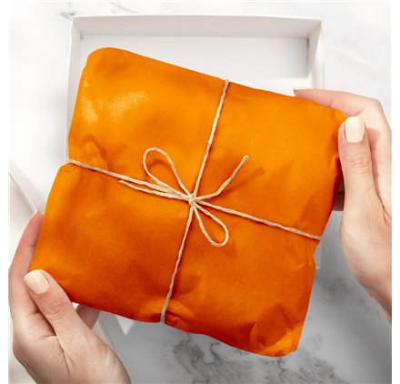 Embrulho de Papel Seda Salmon