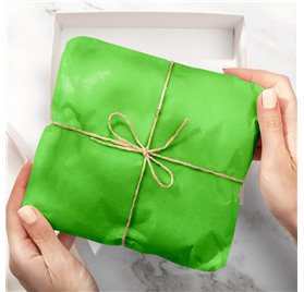 Papel de Seda Love Green 50x75cm