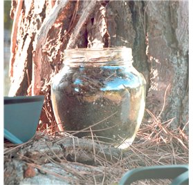 Bocaux en verre Jarro 1,7L