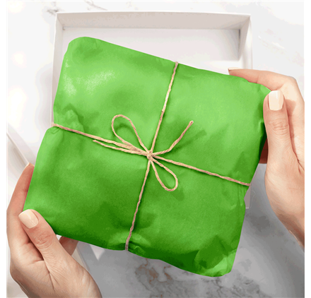 Papel Seda Mint Green 50x75cm