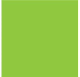 Papier pakowy 70cm Lime Zest