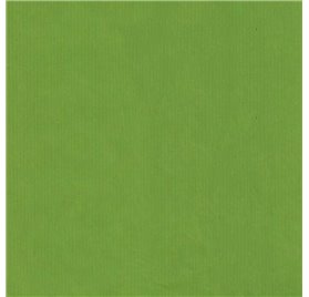 Papel de Embrulho 70cm Verjurado Lime Lively