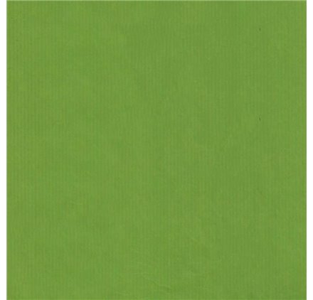 Papel de Embrulho 70cm Verjurado Lime Lively
