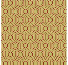 Papel de Embrulho 70cm Silver Lattice