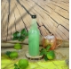 Bottle Plutão 500ml
