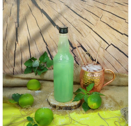 Bottle Plutão 500ml