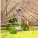 Bottle Plutão 500ml