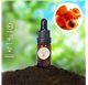 Aceite Esencial de Albaricoque 43222
