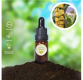 Olio essenziale di banana 714