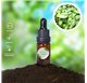 Aceite Esencial de Albahaca