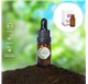 Essential Oil of Brandy Tree Stelle