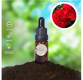 Essential Oil of Clove