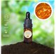 Aceite Esencial de Miel 1552