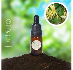 Essential Oil of Honeysuckle