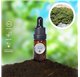 Essential Oil of Juniper