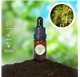 Essential Oil of Linden