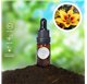 Essential Oil of Lily
