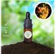 Essential Oil of Muscat Grape