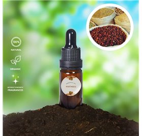 Essential Oil of Nutmeg
