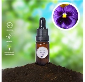 Essential Oil of Pansy