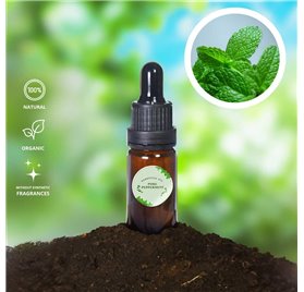 Olio essenziale puro di menta piperita