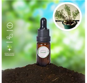 Aceite Esencial de Ajedrea
