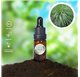 Essential Oil of Citronella