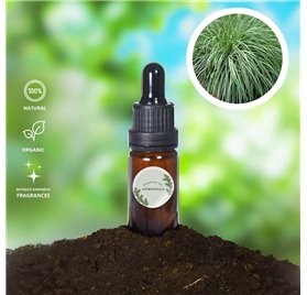 Essential Oil of Citronella