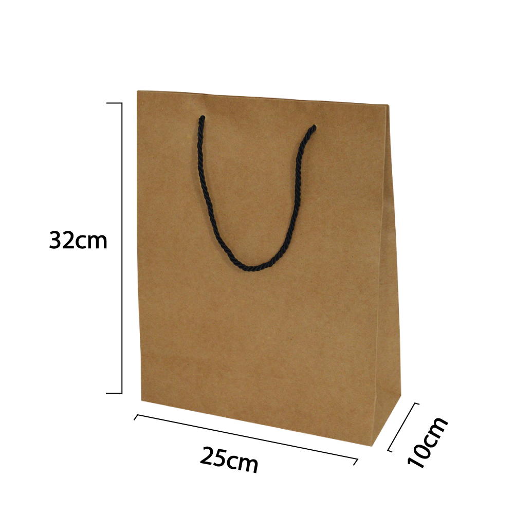250x100x320mm